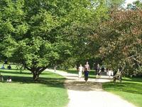 University Parks Oxford summer